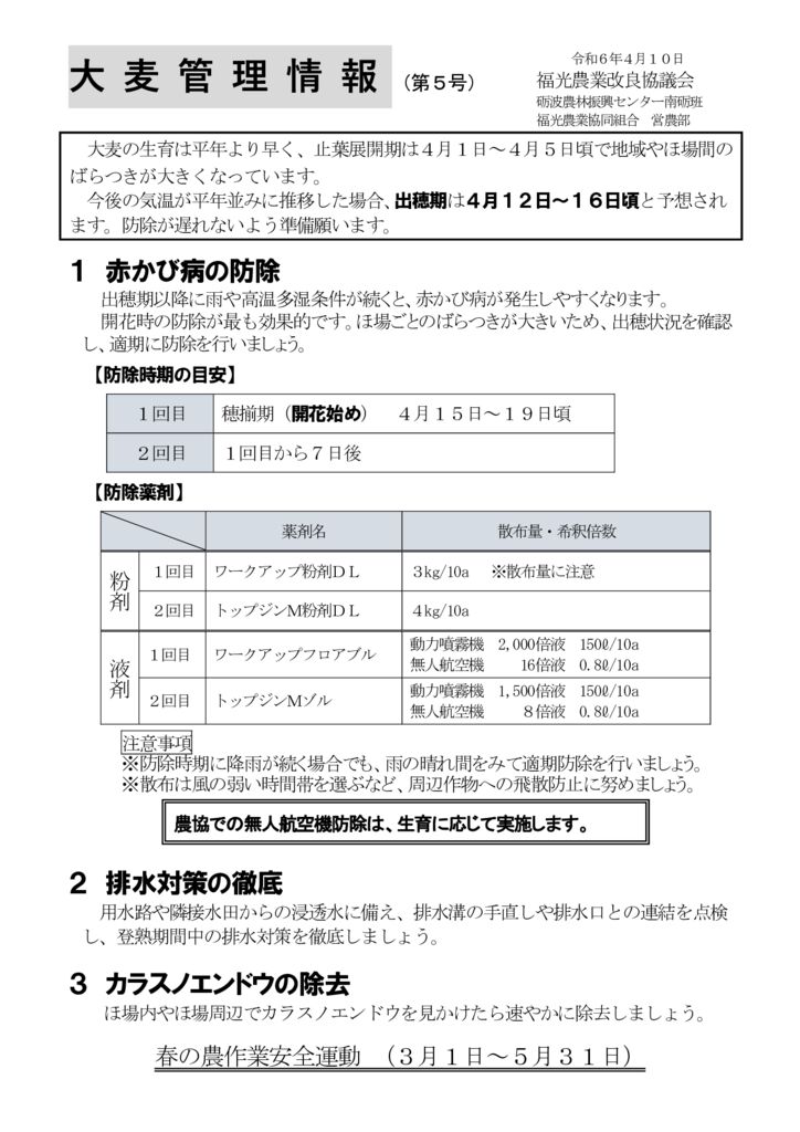 thumbnail of R6大麦特報５号