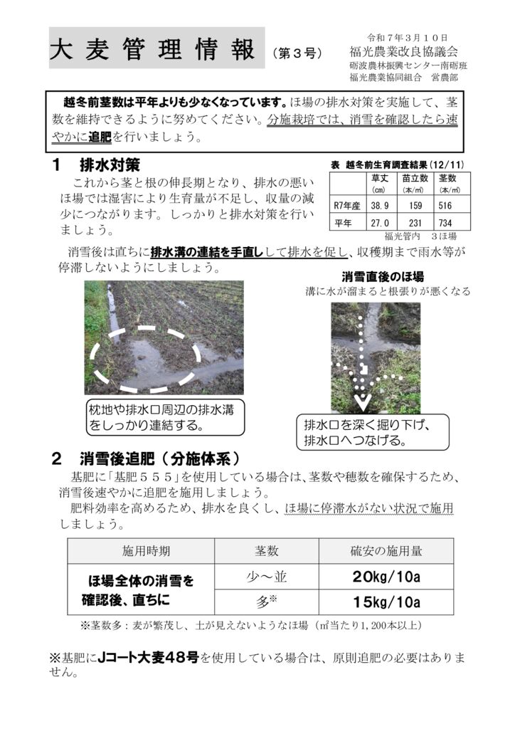 thumbnail of R7.03.10大麦情報３号