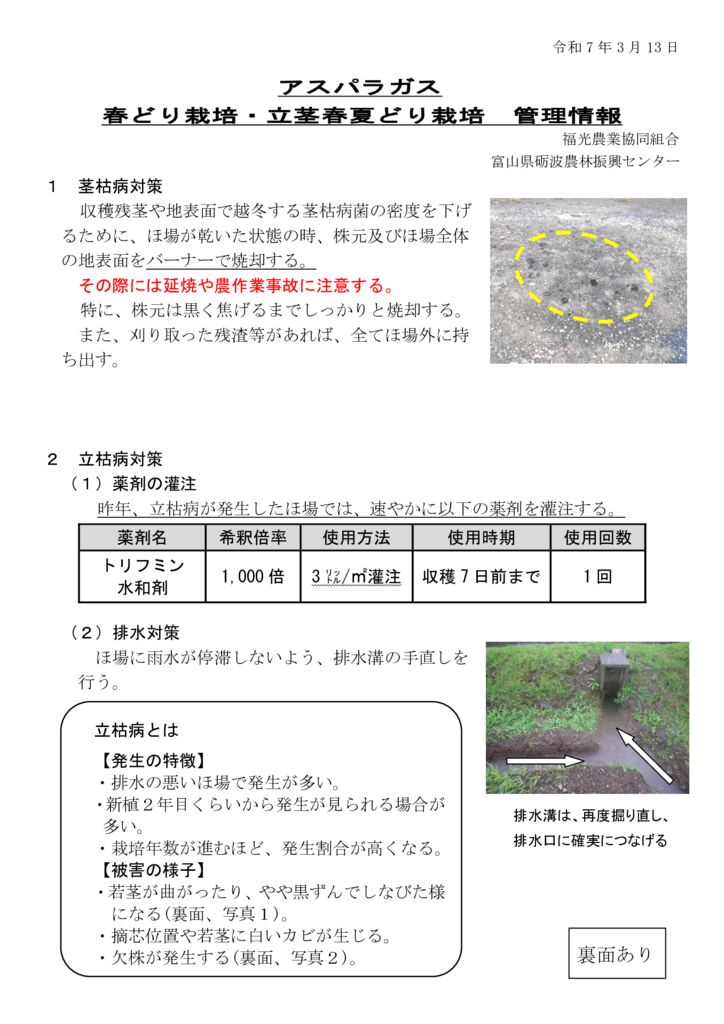 thumbnail of R7.03.11アスパラガス管理情報