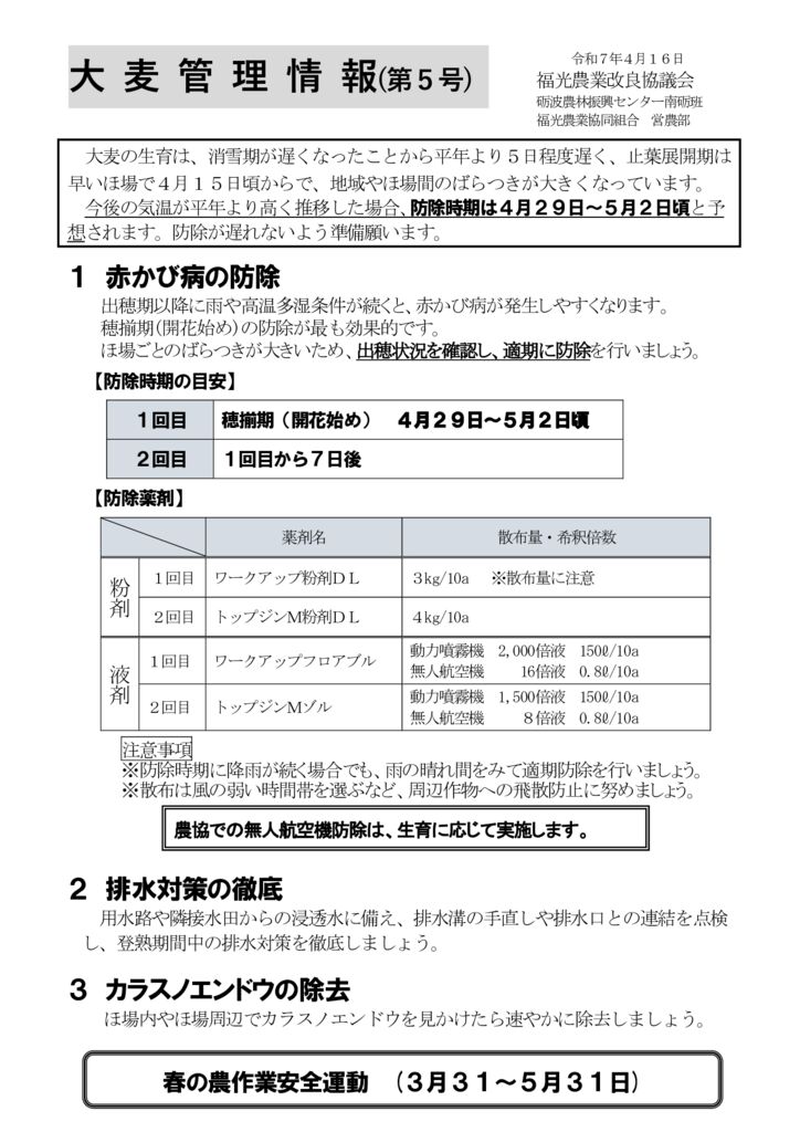 thumbnail of R7.04.16大麦特報５号