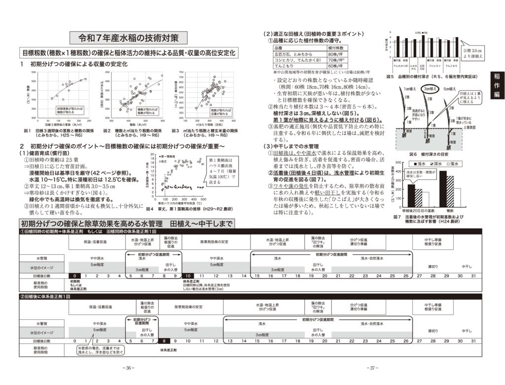 thumbnail of 02稲作編2025_1