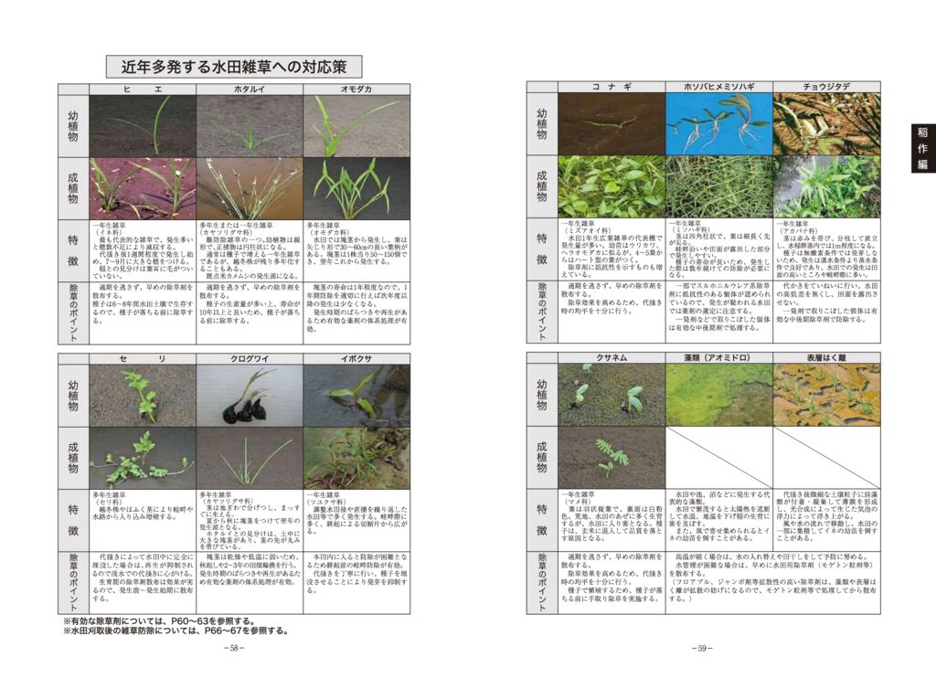 thumbnail of 02稲作編2025_12