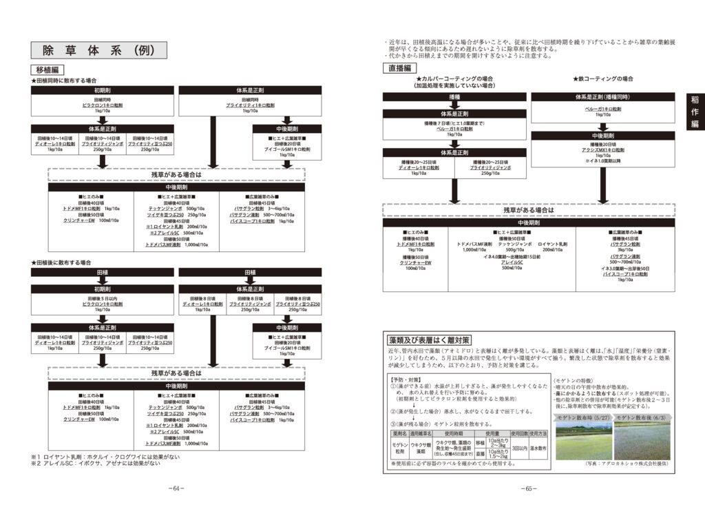 thumbnail of 02稲作編2025_15