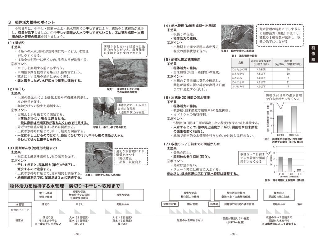 thumbnail of 02稲作編2025_2