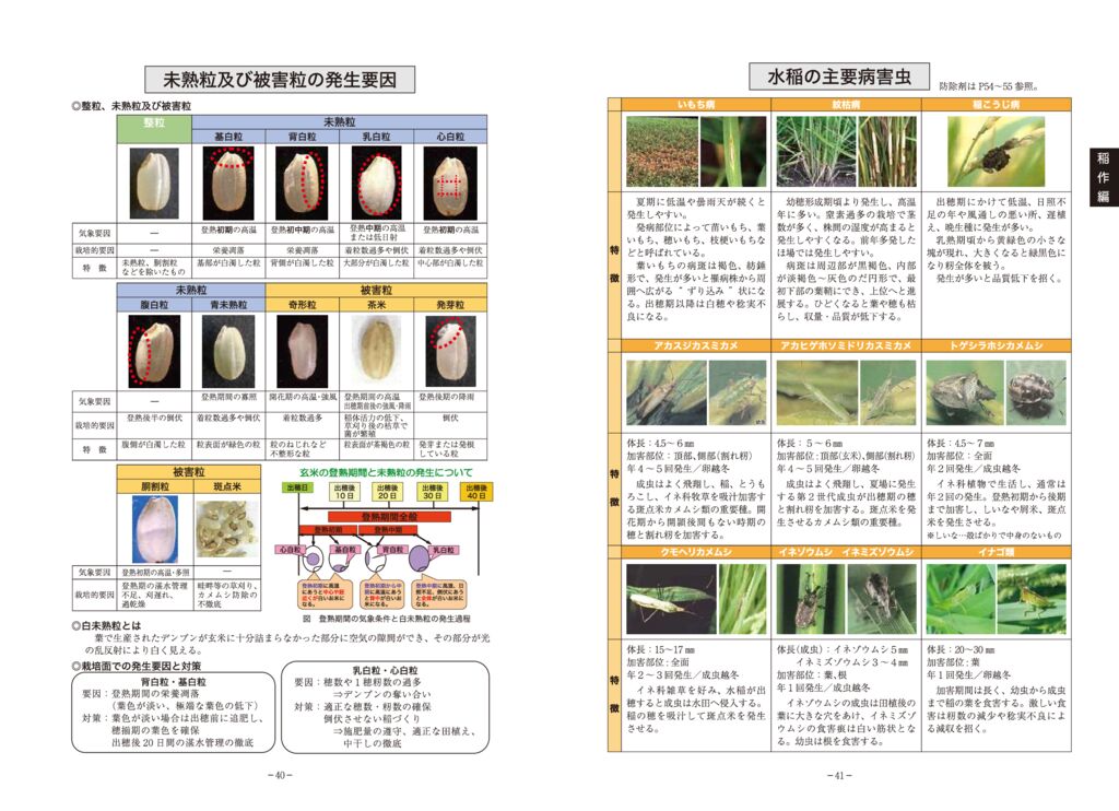 thumbnail of 02稲作編2025_3