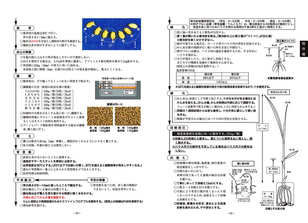 thumbnail of 02稲作編2025_5