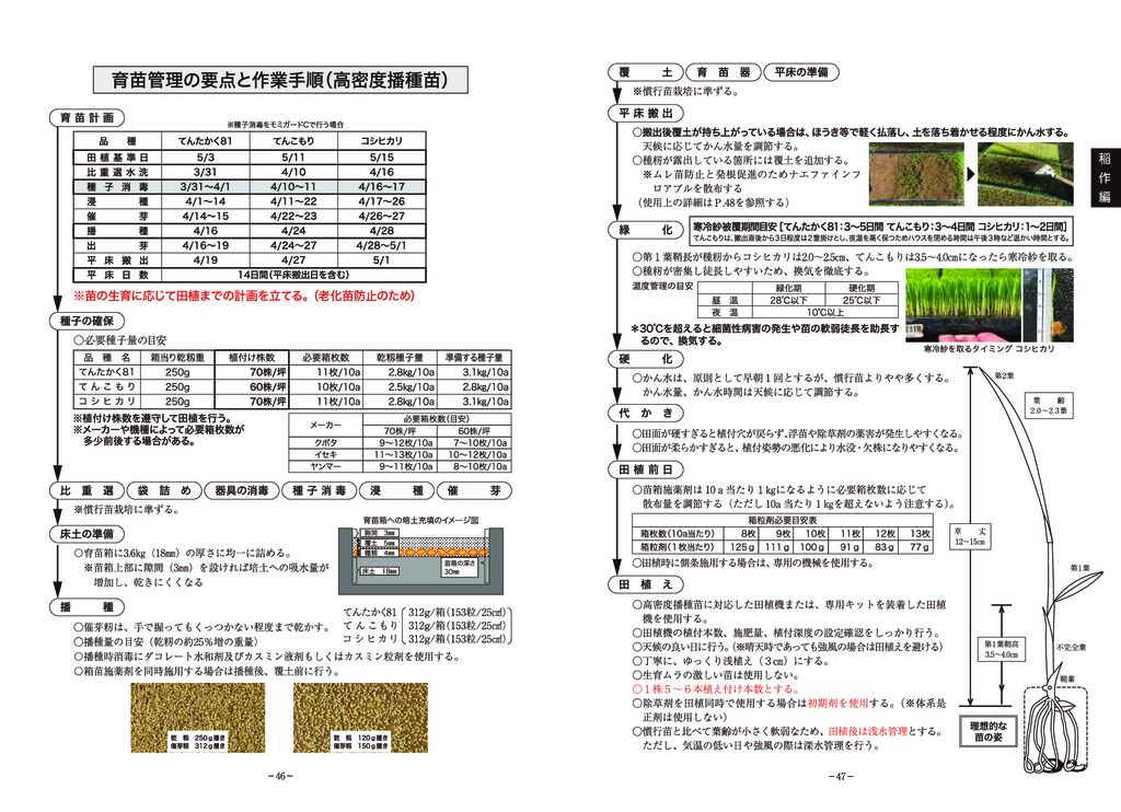 thumbnail of 02稲作編2025_6