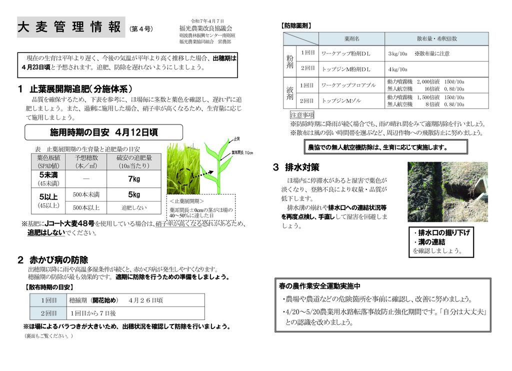 thumbnail of R7.04.07大麦情報４号