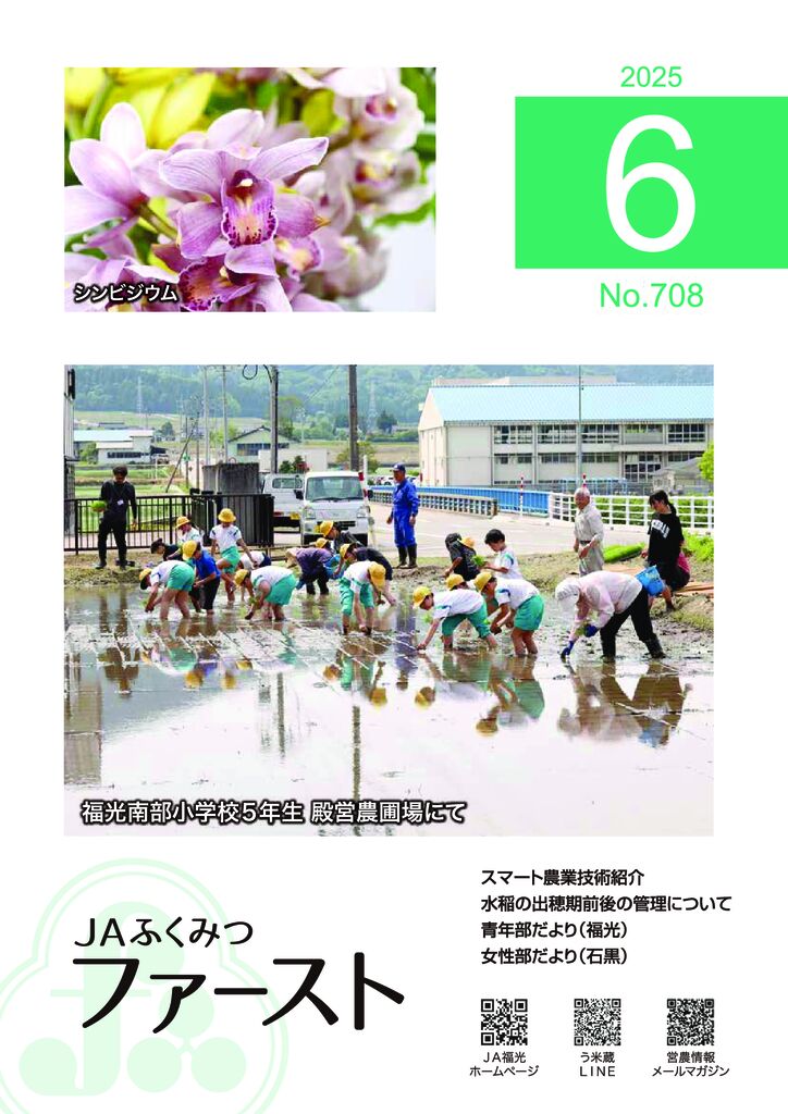 thumbnail of F708