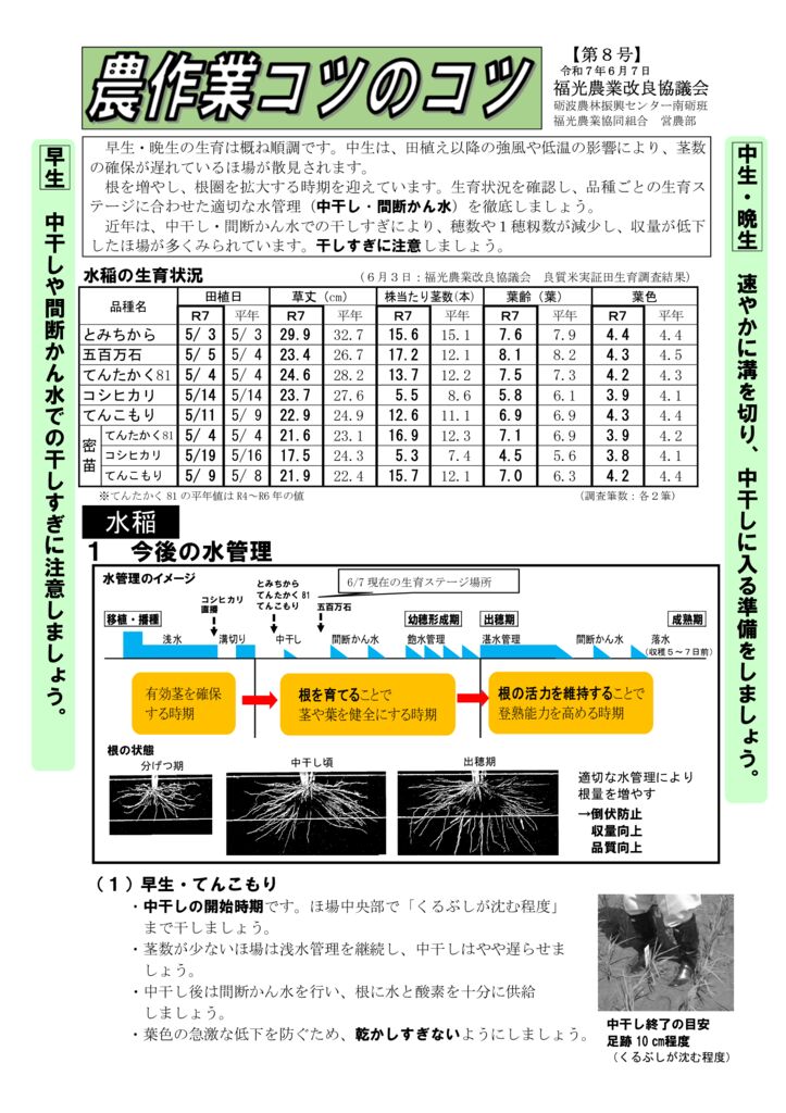 thumbnail of R7.06.05農作業コツのコツ【第８号】