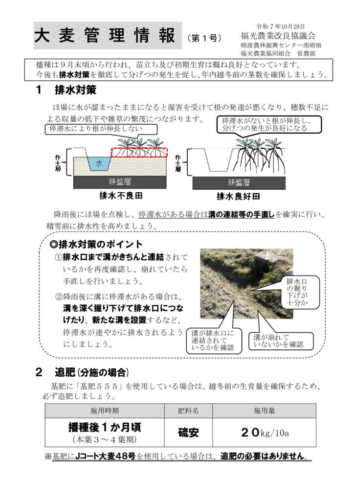 thumbnail of R7.10.27大麦情報１号