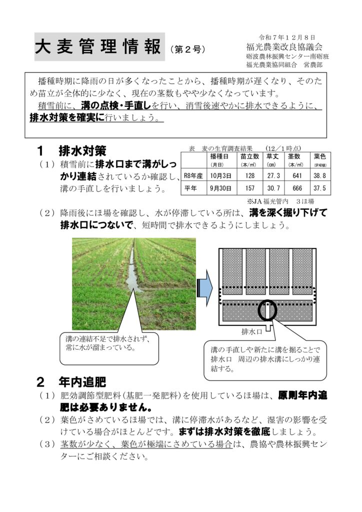 thumbnail of R7.12.8大麦情報２号